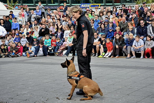Polizeishow   045.jpg